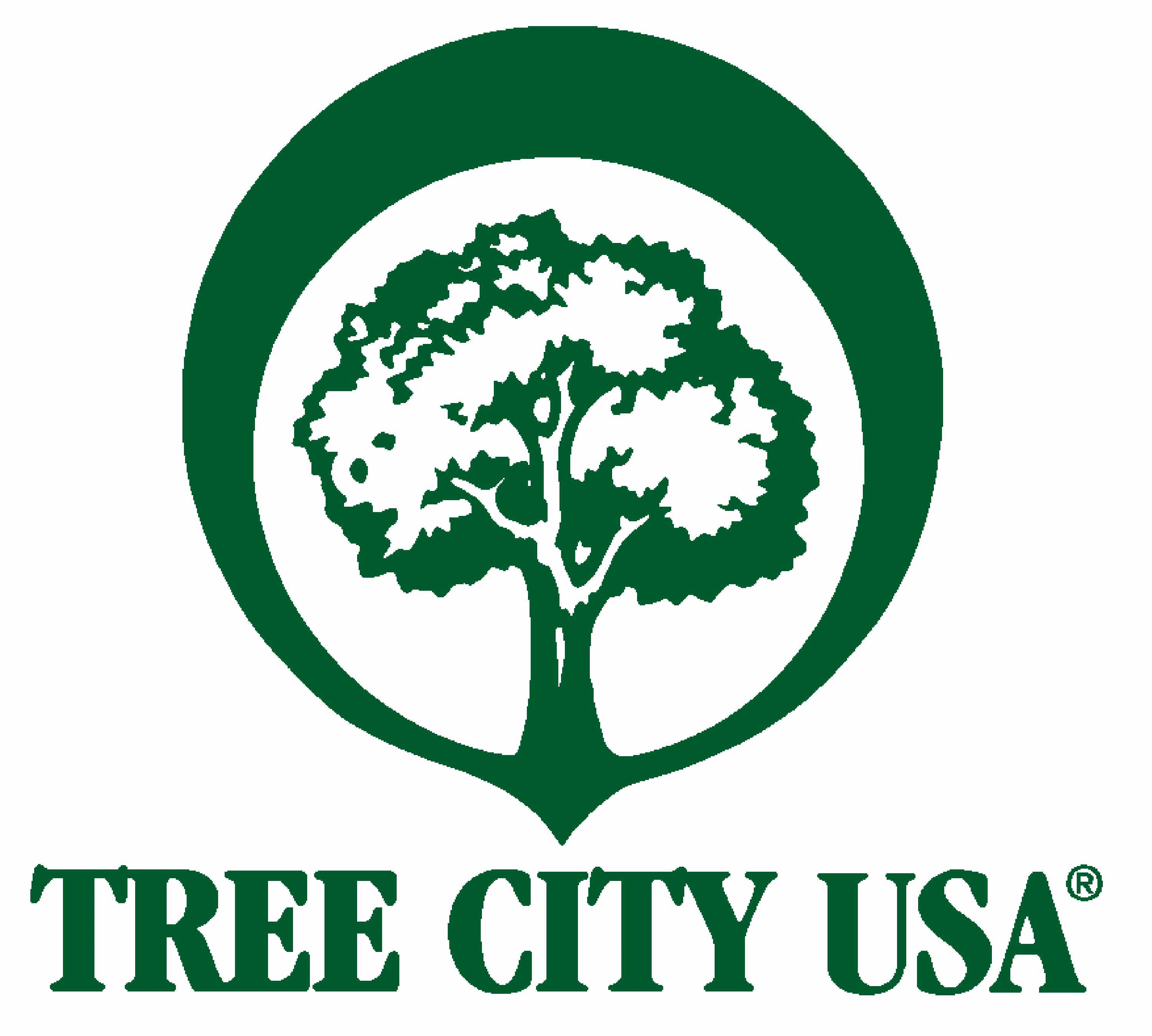 TREE CITY USA.jpg