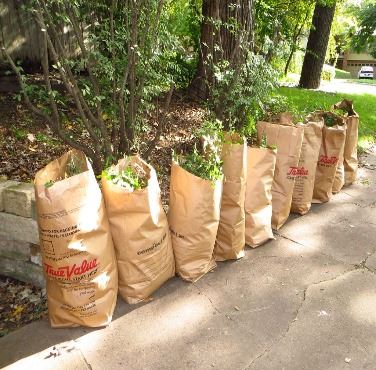 Yard Waste in Bags 